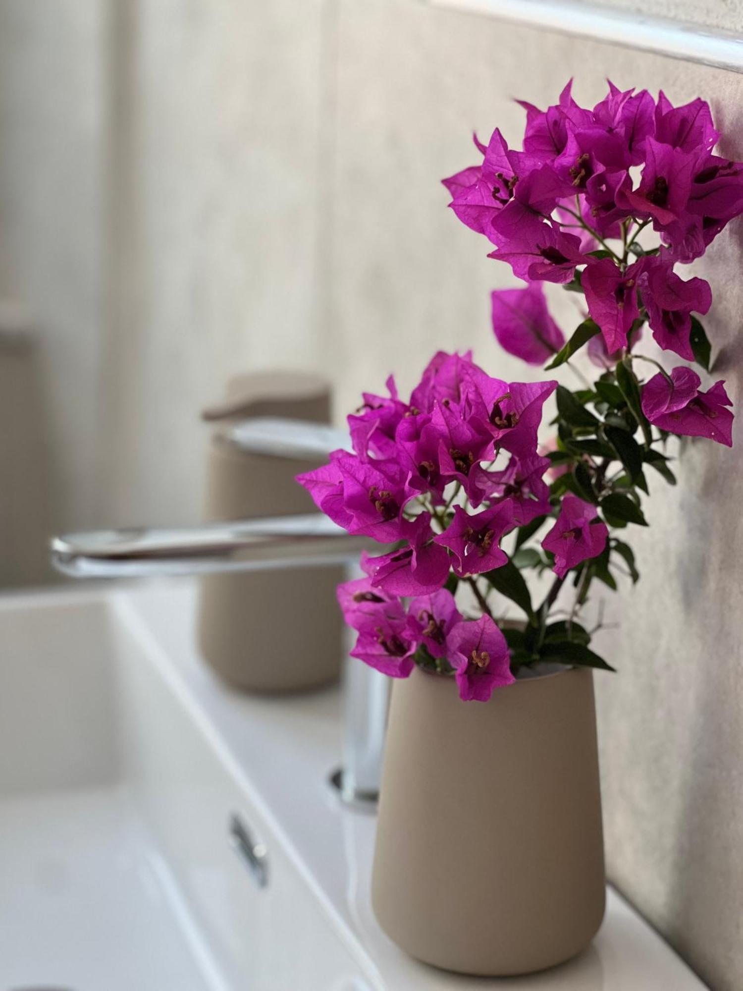 Il Mandorlo Bed & Breakfast Santa Teresa Gallura Exterior photo